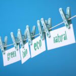 O que é sustentabilidade?