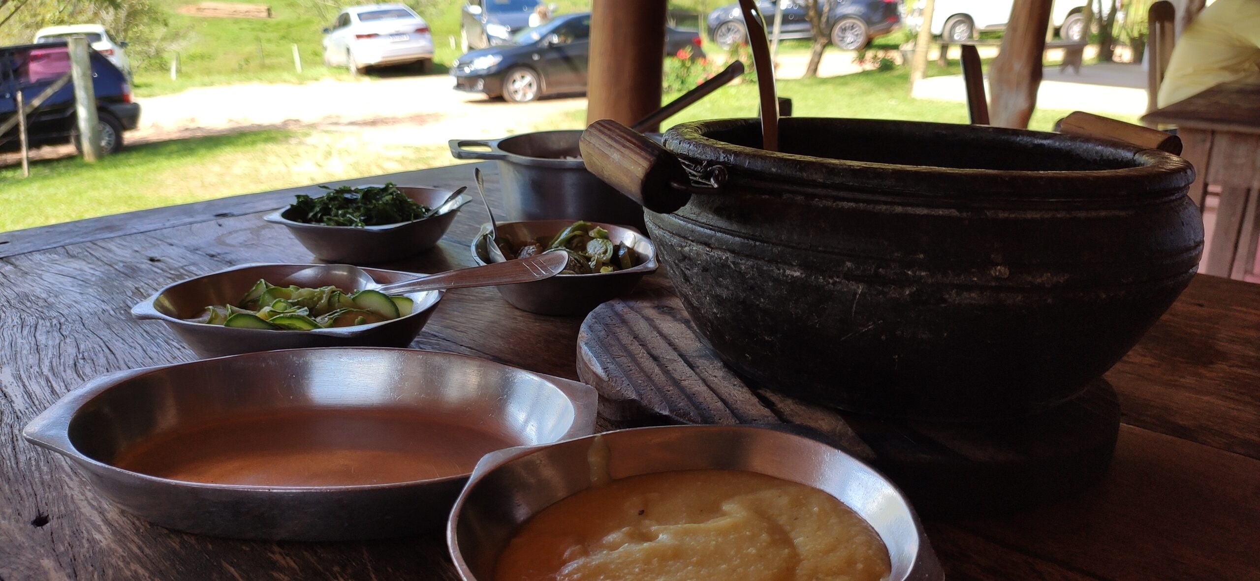 Frango com Ora-Pro-Nobis